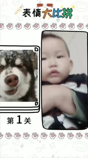 小爱萌萌哒gif表情包表情