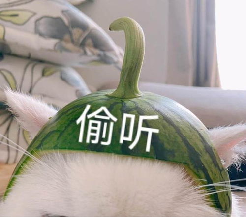 笑话十条老公,今晚上想要什么姿势
