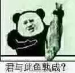 君与此鱼孰咸咸鱼废人肥宅表情包可爱萌堆糖,美好生活研究所
