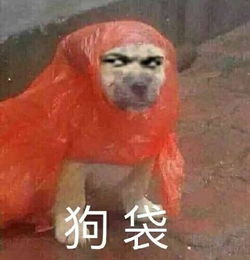 萌宠表情包带字图片