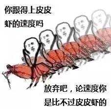 皮皮猪我们走表情包下载完整版乐游网游戏下载