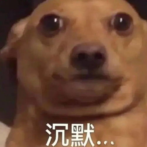 可爱动物表情包