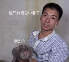 吃它有一百种理由而秀山人只需要一个