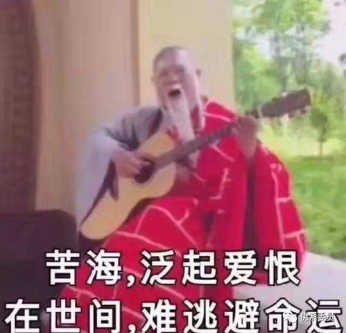 2019年支付宝年度账单刚刚出炉了我差点就厥过去,青岛人快看看