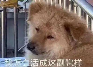 来和我们一起玩吧spc找实习微信部,期待你的加入