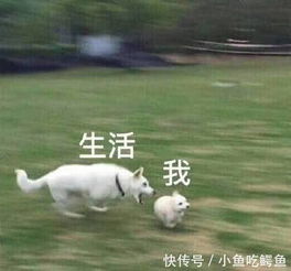 十条笑话媳妇儿,小声点儿,外面雷声阵阵的