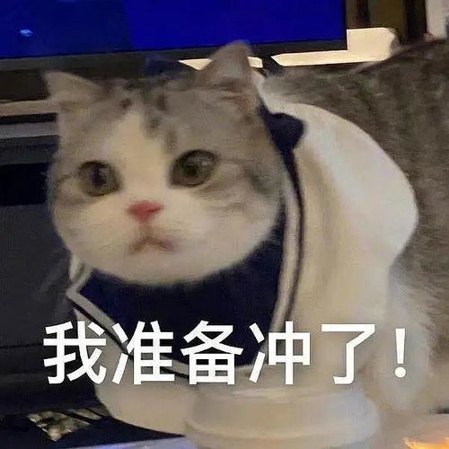 真正恋爱就在m3恋爱到婚姻比4美好得不是一点儿