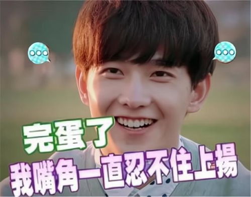 虎哥表情包我tm来了杨洋