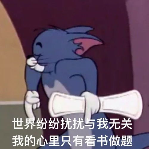我就是那个被口语考官不停竖大拇指的7.5分考生