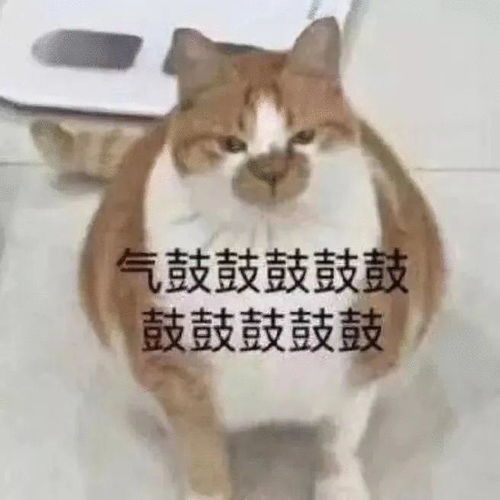 坐井观天