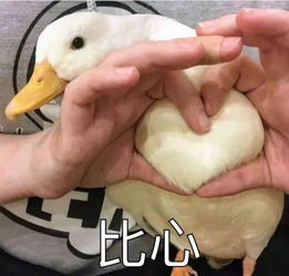 三条定制线路脱单便利店拿掉单身称号就看这里了