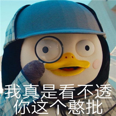 坚强表情包搞笑小企鹅