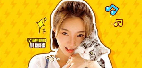 猫叫表情包小潘潘