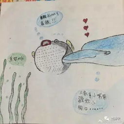 河豚又火了这一次它被海豚撞上,网友们笑到不能自持,小编喊你来收表情包