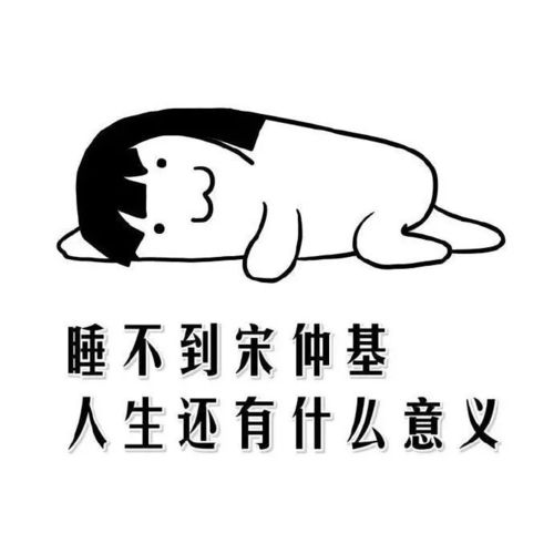 表情包睡不到宋仲基人生还有什么意义