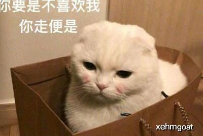 幽默段子老妈为了让我相亲,已经不分男女了