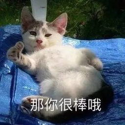 普京终于回应普京访谈录了托腮调皮爆料我看着看着就睡着了......