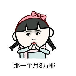 年薪96万,那么问题来了,你到底是做什么的表情包