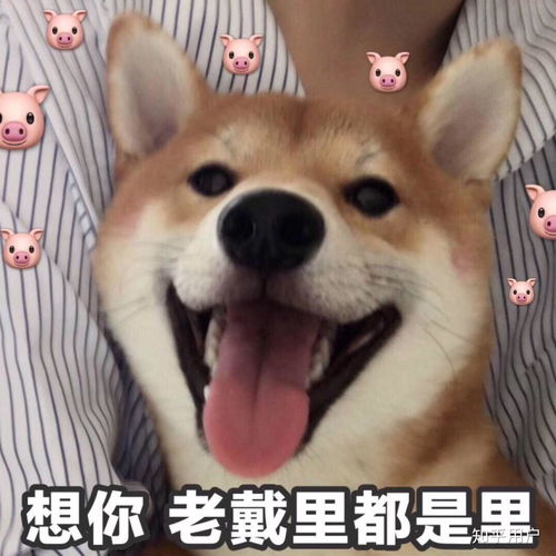结婚来说喜欢重要还是合适重要