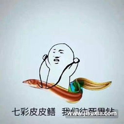 皮皮鳝我们走黄鳝表情包超清无水印完整版下载琪琪黄鳝视频表情包合集分享