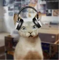 你的微信表情该更新了表情包记录音乐学生日