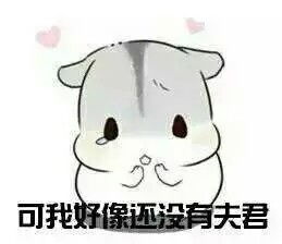 求小仓鼠夫君君的图片qwq