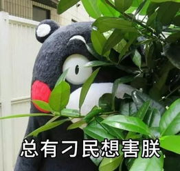 河池一男子疑似吸毒致幻,竟做出这样的事可怕