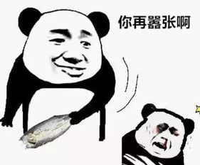 从海归到低线城市贵族