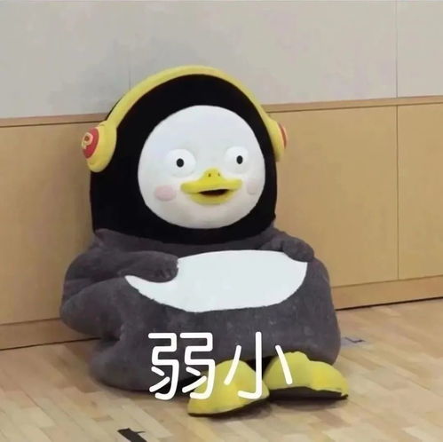 表情包你当我小猫咪不会发怒