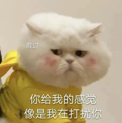 表情包,你讲话好冷漠,就好像我从没让你开心过