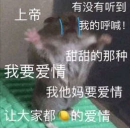 孩子,不是爸不帮你,实在是哈哈哈哈哈