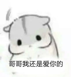 求qq里很萌的仓鼠表情包,太可爱了w
