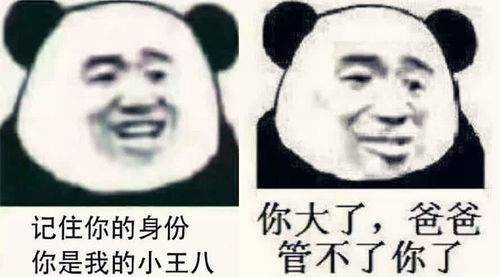 高级怼人专用表情包从此我们恩断义绝,我不再是你爹
