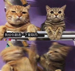 复仇者联盟4表情包我给你剧透一下复联4