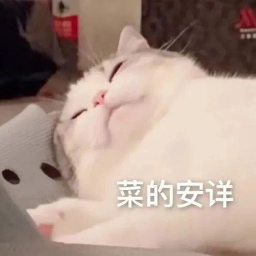 沙雕表情包放心吧,交给我一定会搞砸的
