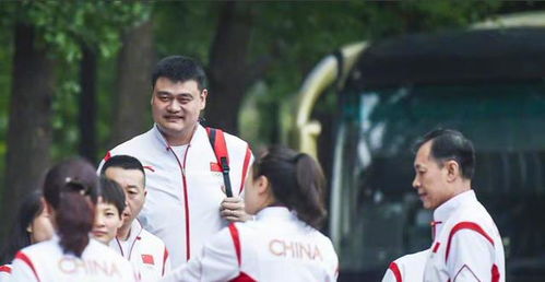姚明身材胖成球走红网络还有谁记得,他曾是表情包三巨头