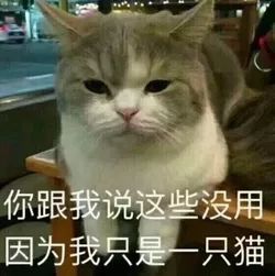污微信表情包搞笑图片微信
