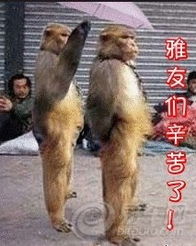森雅论坛图片集锦