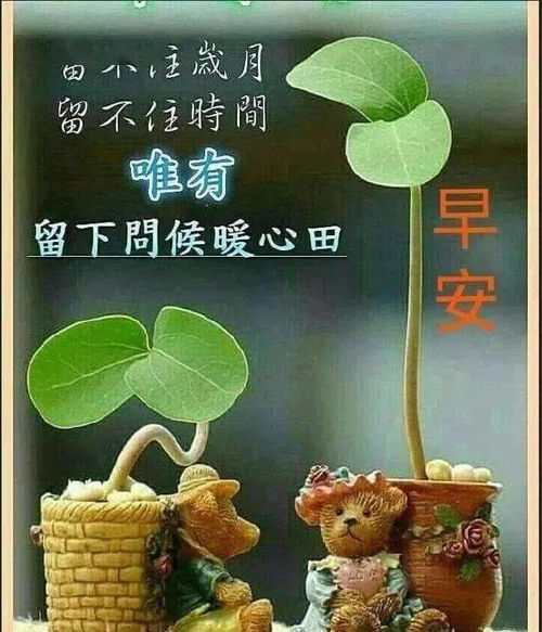 大家早上好顺心如意,健康快乐每一天