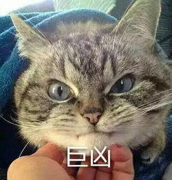 妈,就是他们让我肾虚对了,我肾还有几个