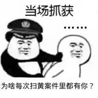 爆笑当场抓获系列表情包我做什么了总之抓获就对了