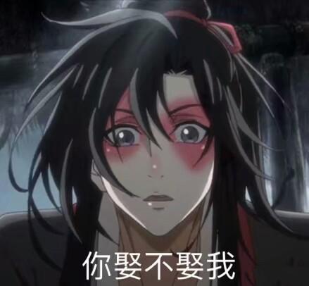 魔道祖师羡羡的表情包你欠锤呢