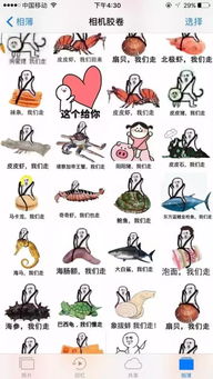 爆红的皮皮虾,我们走到底是什么鬼
