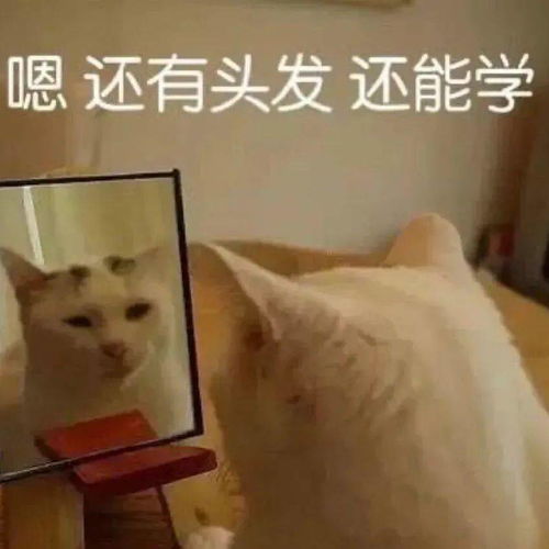 你缺的是一份复习资料吗你缺的是一个监督你学习的人