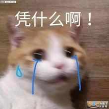 再见我去谈恋爱了表情包图片我不去我减肥的表情包下载乐游网游戏下载