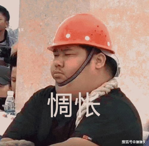 热门表情包图片我现在道歉,还来得及吗