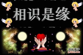 想要忘记你