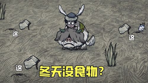 哔哩哔哩专栏