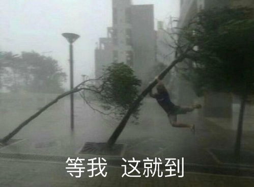 搞笑表情包图片风大雨大也阻挡不了我,等我,马上到