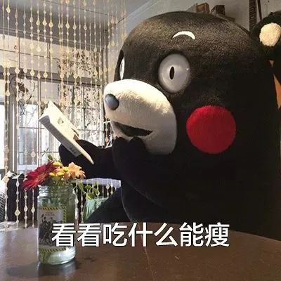 看世界这些人气小熊,也许就在你家哦